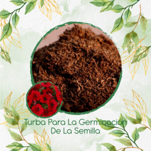 Sustratos Para Petunia Enana Roja