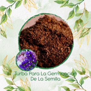 Sustratos Para Statice Sinauta