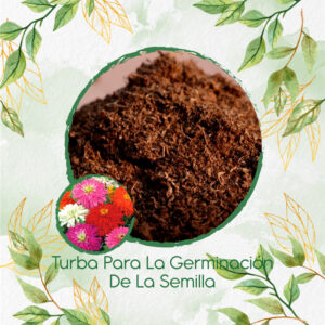 Sustratos Para Zinnia Crisantemo Mezcla