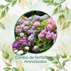 Kits De Fertilizantes Para Aster Gigante De California