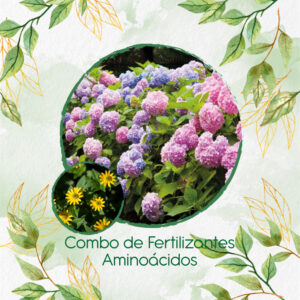 Kits De Fertilizantes Para Botón De Oro G
