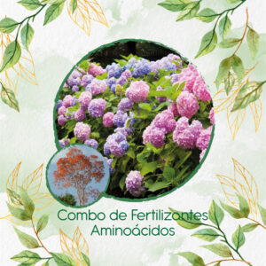 Kits De Fertilizantes Para Cámbulo