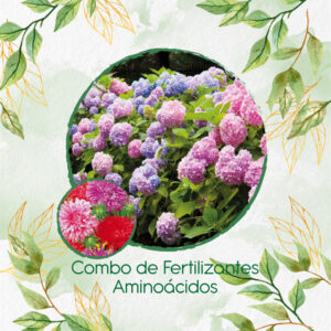 Kits De Fertilizantes Para Aster Pluma De Avestruz