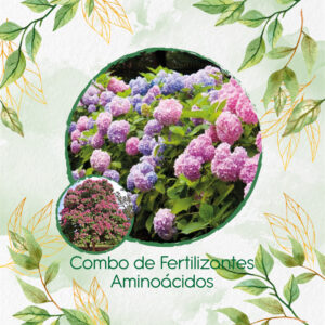 Kits De Fertilizantes Para Embrujo De La India