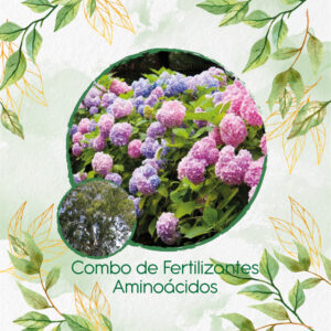 Kits De Fertilizantes Para Eucalipto Camaldulensis