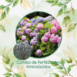 Kits De Fertilizantes Para Eucalipto Cinérea