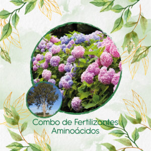 Kits De Fertilizantes Para Eucalipto Tereticronis