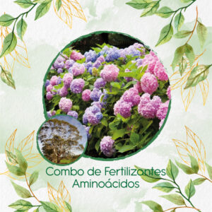 Kits De Fertilizantes Para Eucalipto Viminalis