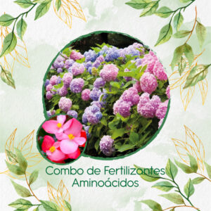 Kits De Fertilizantes Para Begonia