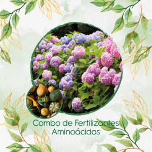 Kits De Fertilizantes Para Calabacitas De Adorno