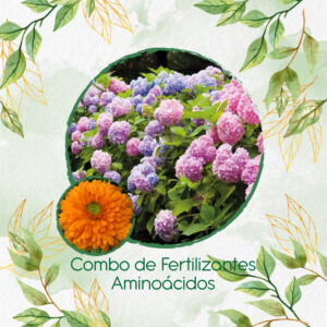 Kits De Fertilizantes Para Caléndula Naranja