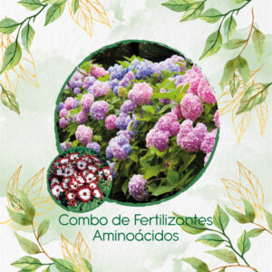 Kits De Fertilizantes Para Cineraria