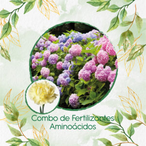 Kits De Fertilizantes Para Clavel Amarillo