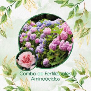 Kits De Fertilizantes Para Clavel Mezcla