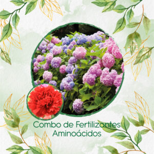 Kits De Fertilizantes Para Clavel Rojo