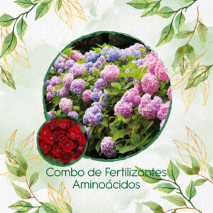 Kits De Fertilizantes Para Clavel