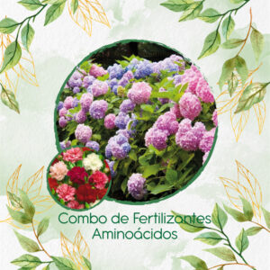 Kits De Fertilizantes Para Clavel Chabaud