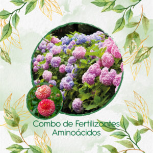 Kits De Fertilizantes Para Dalia Pompón