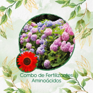 Kits De Fertilizantes Para Girasol Rojo