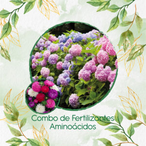 Kits De Fertilizantes Para Aster
