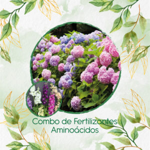 Kits De Fertilizantes Para Matthiola