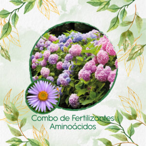 Kits De Fertilizantes Para Aster Alpinus