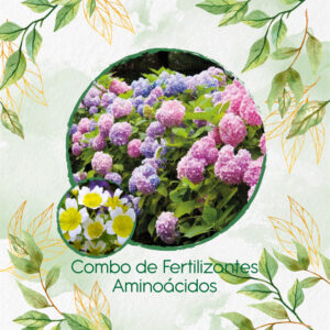 Kits De Fertilizantes Para Spiegeleitje