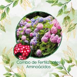 Kits De Fertilizantes Para Verbena