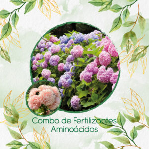 Kits De Fertilizantes Para Aster Chino