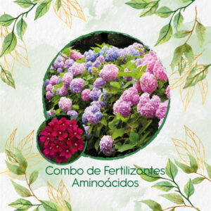 Kits De Fertilizantes Para Verbena Pequeña
