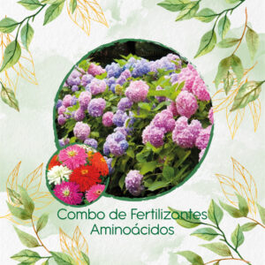 Kits De Fertilizantes Para Zinnia Crisantemo Mezcla