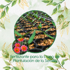 Fertilizantes Individuales Para Margarita Africana Mix
