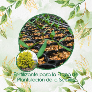 Fertilizantes Individuales Para Acacia Amarilla