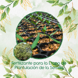 Fertilizantes Individuales Para Acacia Blanca