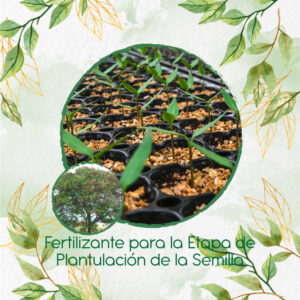 Fertilizantes Individuales Para Acacia Forrajera