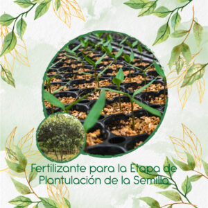 Fertilizantes Individuales Para Cajeto