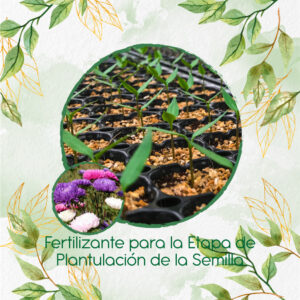 Fertilizantes Individuales Para Aster Gigante De California