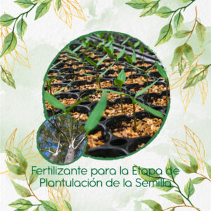 Fertilizantes Individuales Para Eucalipto