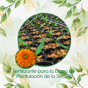 Fertilizantes Individuales Para Caléndula Naranja