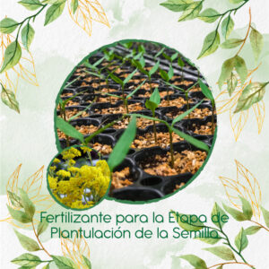 Fertilizantes Individuales Para Aliso Amarillo