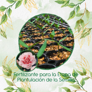 Fertilizantes Individuales Para Clavel Mezcla