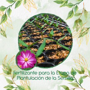 Fertilizantes Individuales Para Cosmos