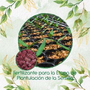 Fertilizantes Individuales Para Aliso Rosa
