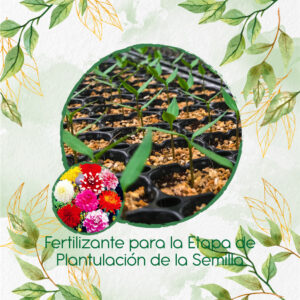 Fertilizantes Individuales Para Dalia Decorativa