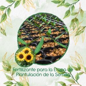 Fertilizantes Individuales Para Girasol Amarillo