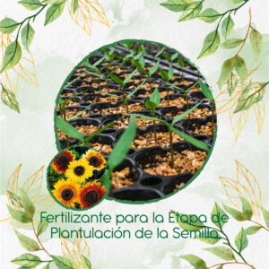 Fertilizantes Individuales Para Girasol Belleza De Otoño