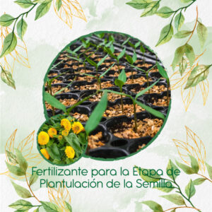 Fertilizantes Individuales Para Girasol Mix Enanos