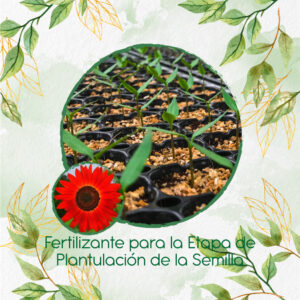Fertilizantes Individuales Para Girasol Rojo