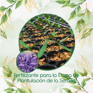 Fertilizantes Individuales Para Lavanda