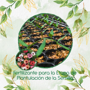 Fertilizantes Individuales Para Lino Grandiflorum